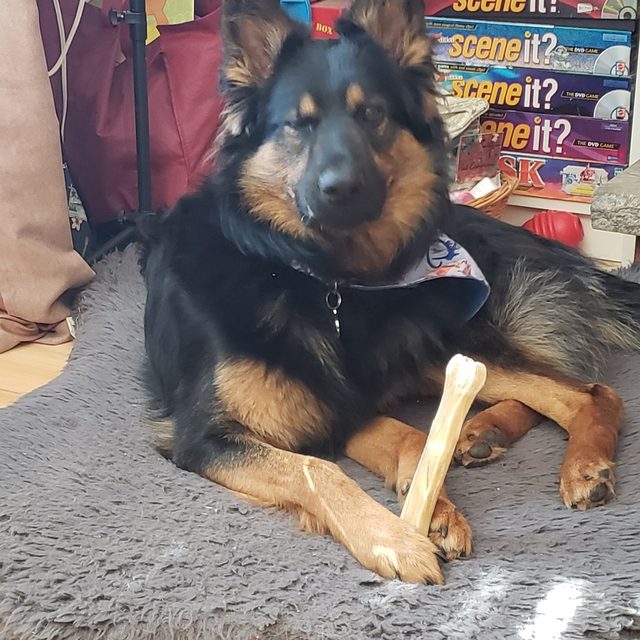 Christina G.'s dog