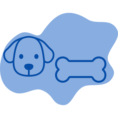 Dog Arthitis and Joint Care Supplements