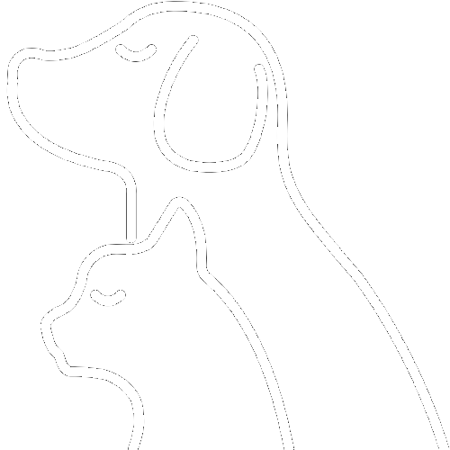 WellyTails Premium Pet Supplements