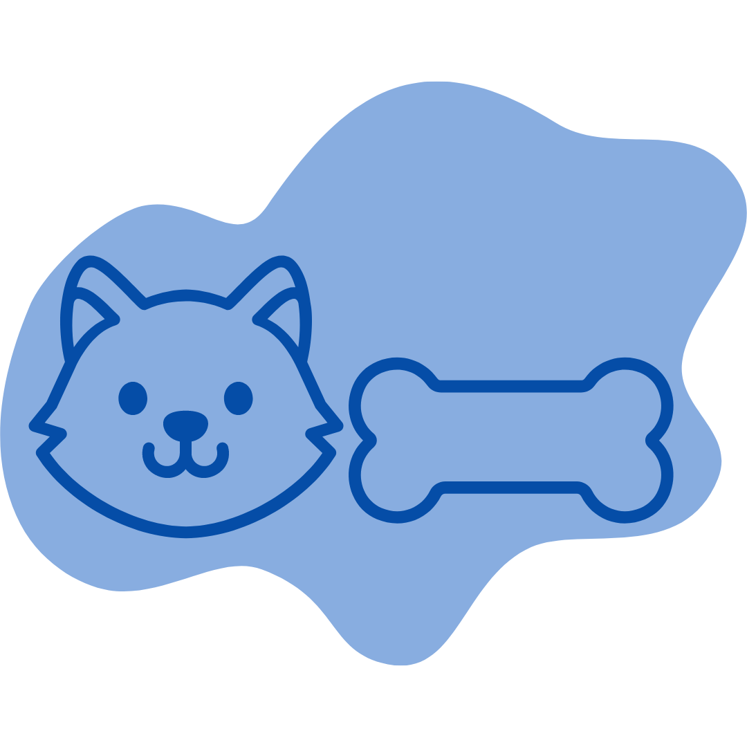 Cat Arthritis and Joint Care