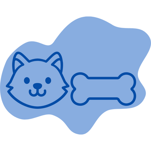 Cat Arthritis and Joint Care