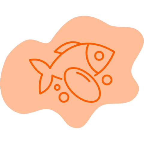 Omega 3, 6, 9