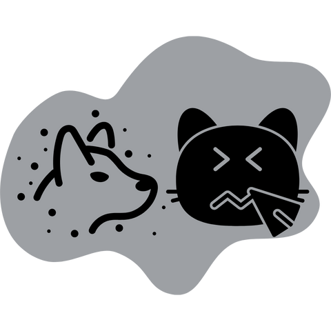 Allergy Relief