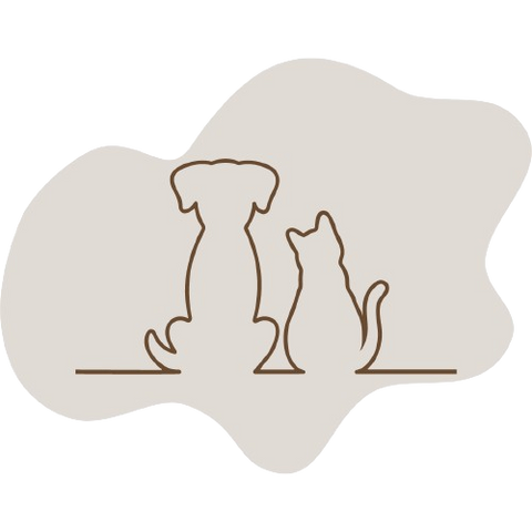 Senior Pets