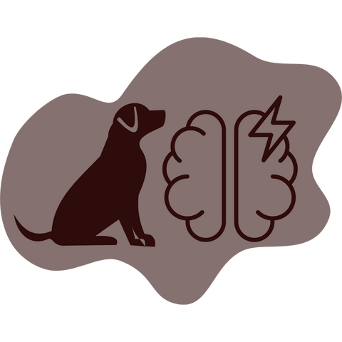 Dog Anxiety and Behaviour