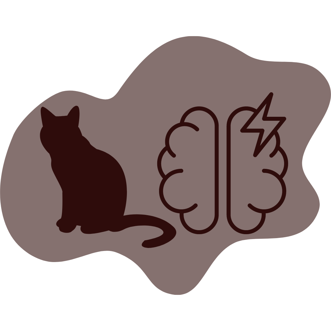 Cat Anxiety and Behaviour