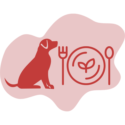 Homemade Dog Food Diet & Nutrition