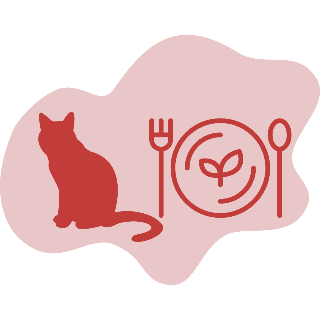 Cat Diet and Nutritions