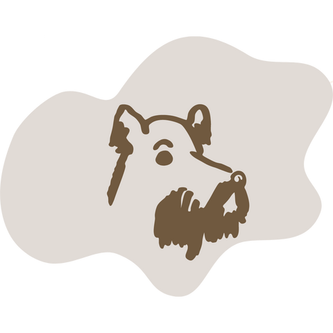 Senior Dogs
