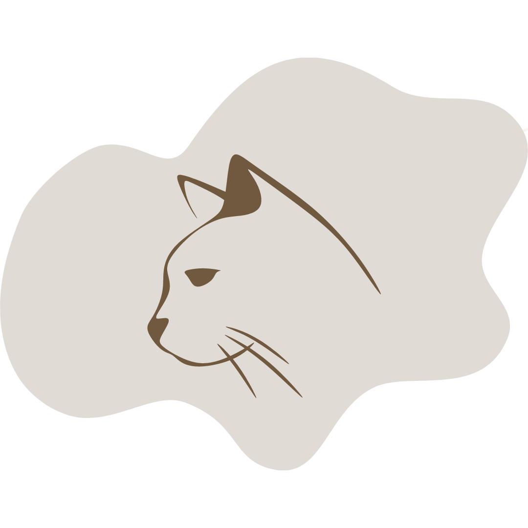 Senior Cat