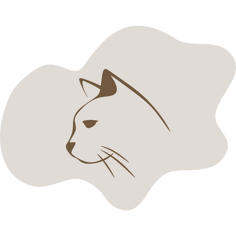Senior Cat