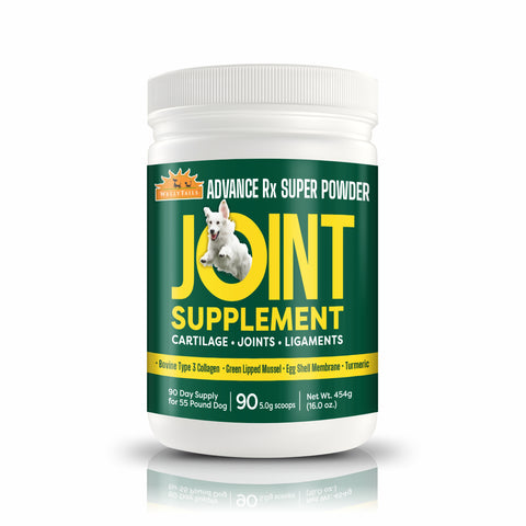 WellyTails Dog Advanced Rx joint supplement for dogs in a white container with green and yellow text, featuring a rabbit logo.