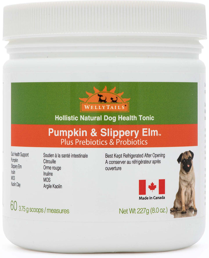 WellyTails Pumpkin & Slippery Elm with Probiotics & Prebiotics