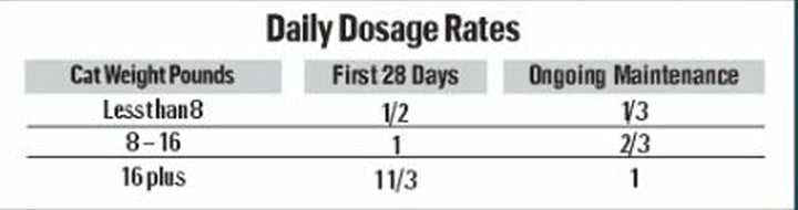WellyTails Senior Cat Joint Care ADVANCED 45 Scoops 9.17 oz. (260 grams)
