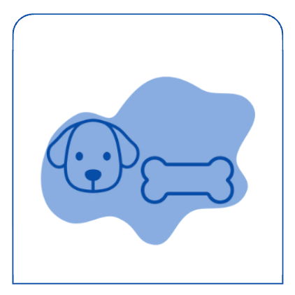 Dog Arthritis and Joint Care