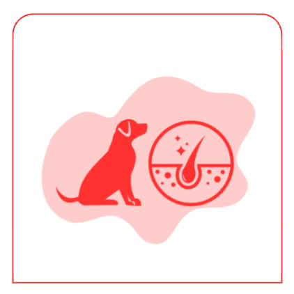 Dog Seasonal Allergies / Skin & Coat Supplements