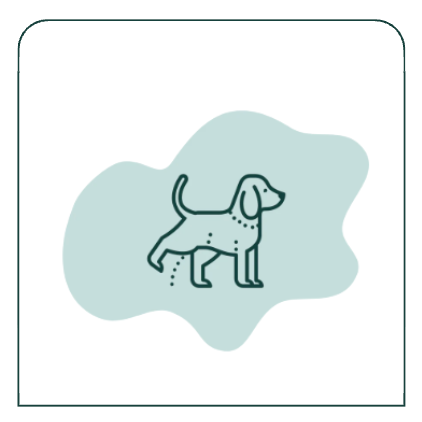 Dog Urinary Tract Care