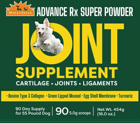 WellyTails Dog Advanced Rx joint supplement for dogs, featuring bold yellow text on a green background with a white dog.
