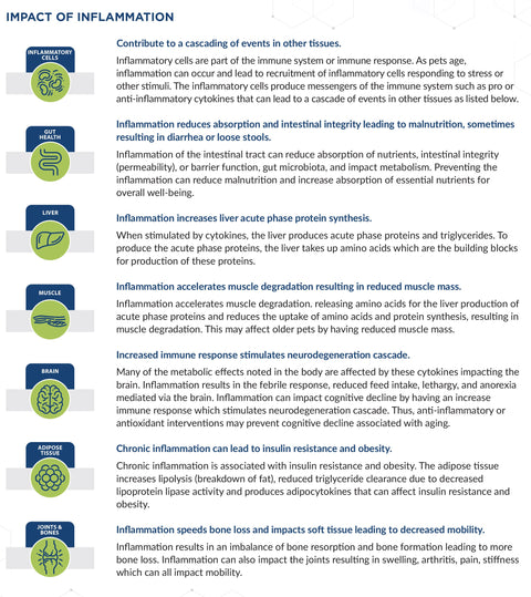 WellyTails Digestive Enzymes & Probiotics Dog ADVANCED