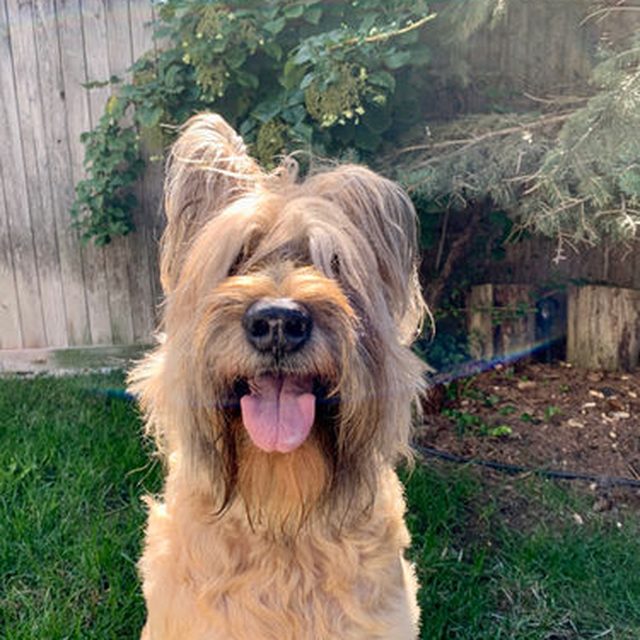 Holly M.'s dog